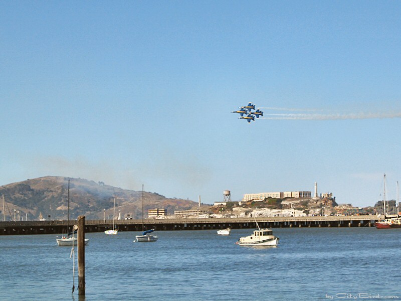 The Blue Angels performing over San Francisco Bay